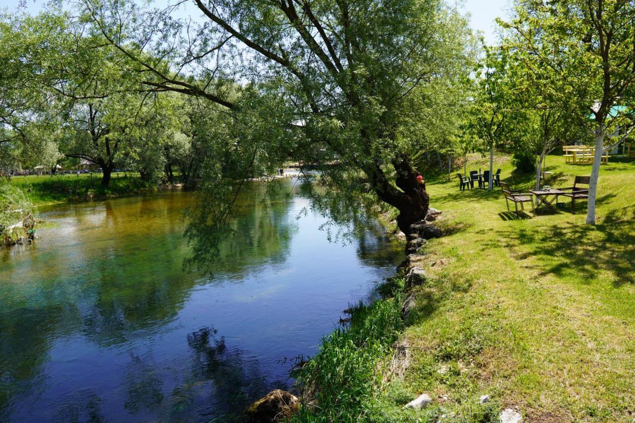Apartments Manitovac M Nikšić Екстериор снимка