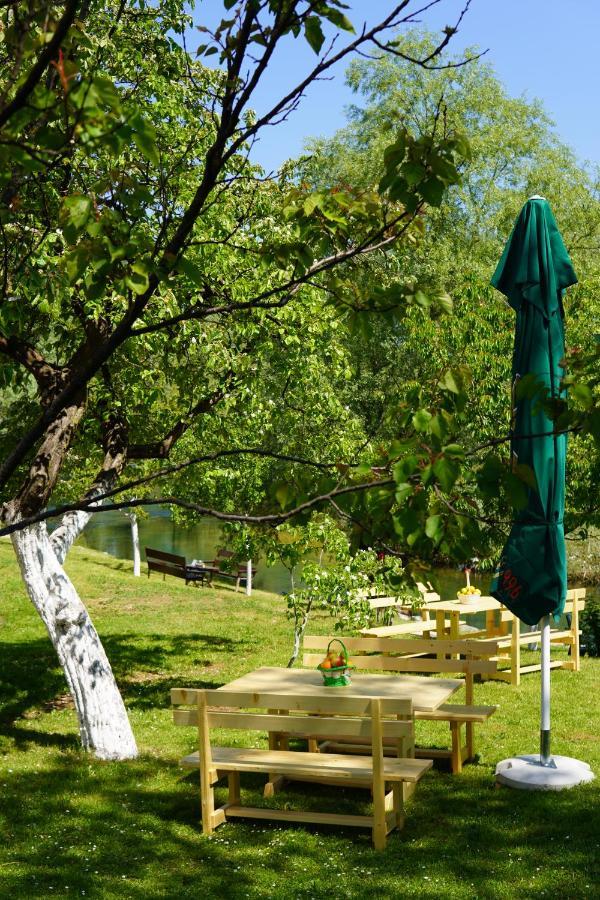 Apartments Manitovac M Nikšić Екстериор снимка